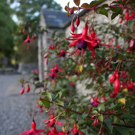 度假居 Fuchsia Lane Farm Cottages *